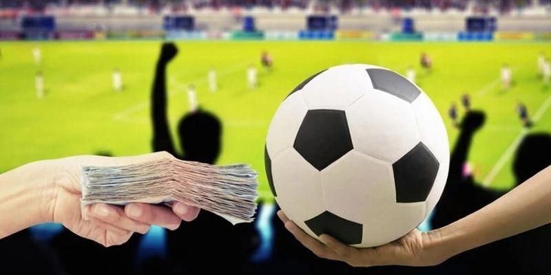 Cách đặt cược hay nhất